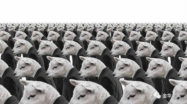 《优秀的绵羊》：精英教育桎梏进步，博雅教育才是大学的真正使命