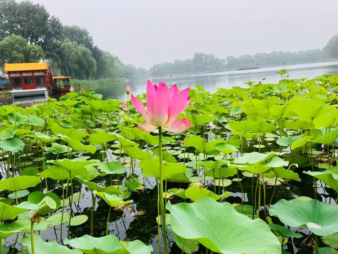 北京最值得旅游的一条路,北京最值得去的300个地方