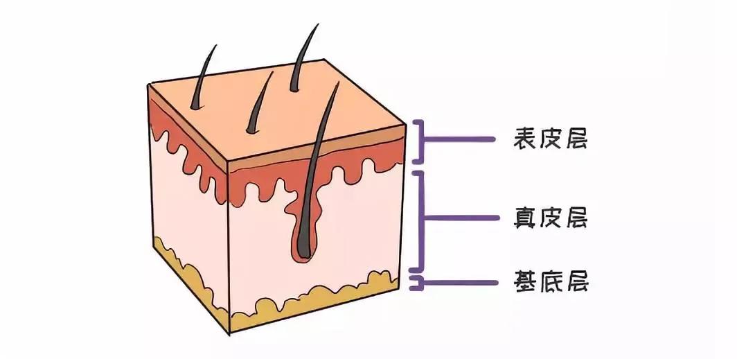 敏感肌到底可不可以刷酸,敏感肌肤可以刷酸的产品