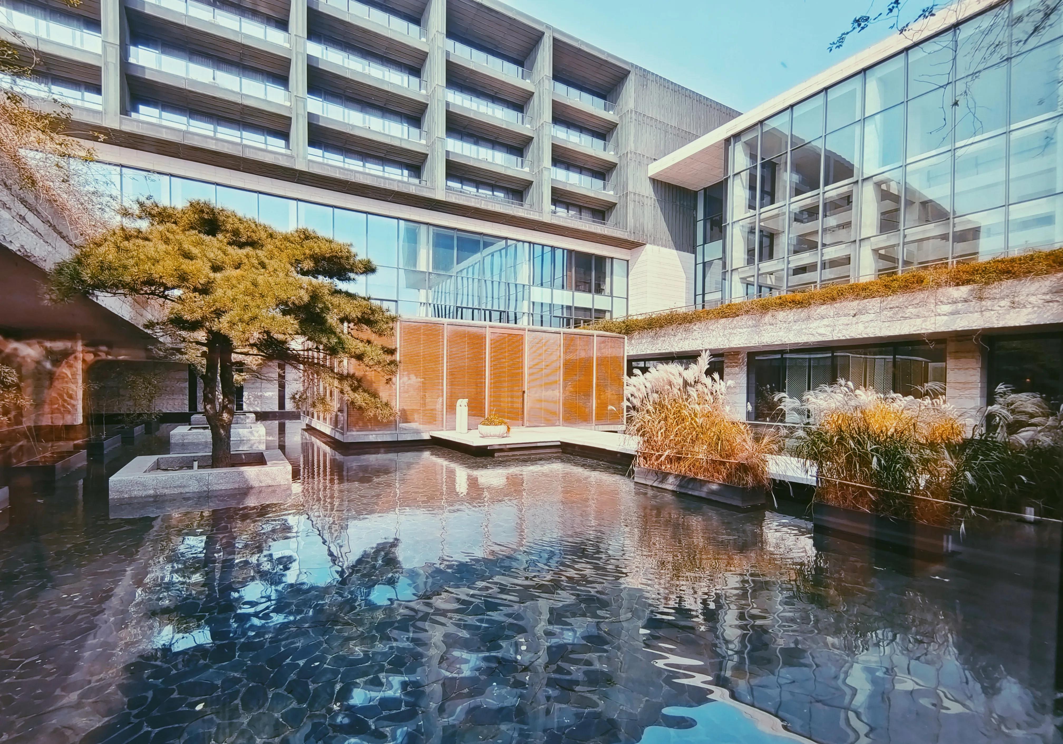 无敌海景,无敌海景泰式