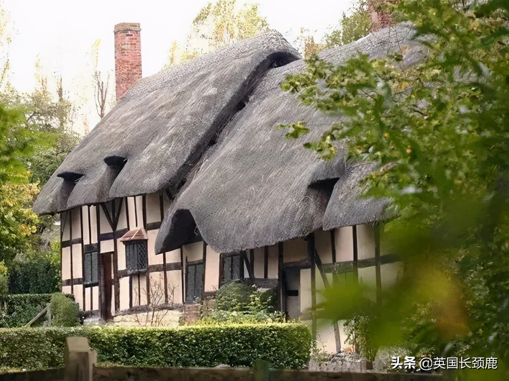 英国对爱情的记忆法：再走过诺丁山和查令十字街