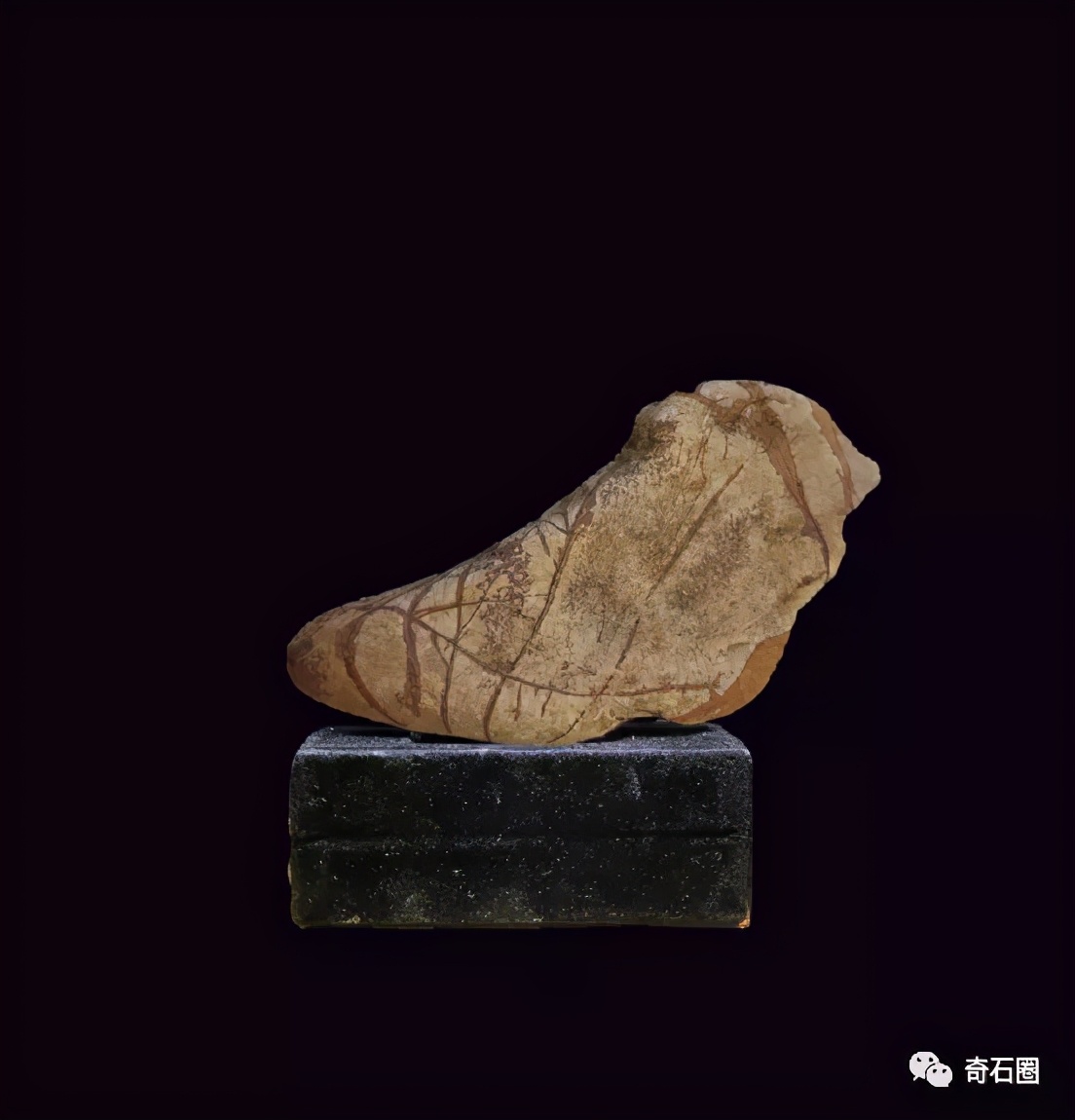 “一见倾心的石头”入围作品展播