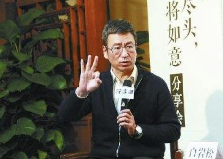 白岩松中国文化,白岩松河南什么样中国就什么样