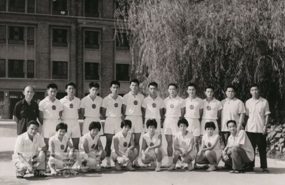 羽毛球教练王文教 (羽毛球王文教)