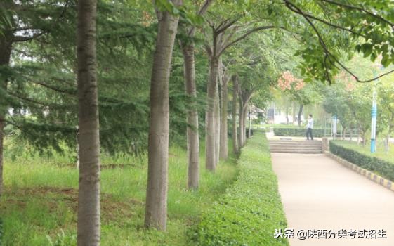 魅丽校园行之-陕西职业技术学院