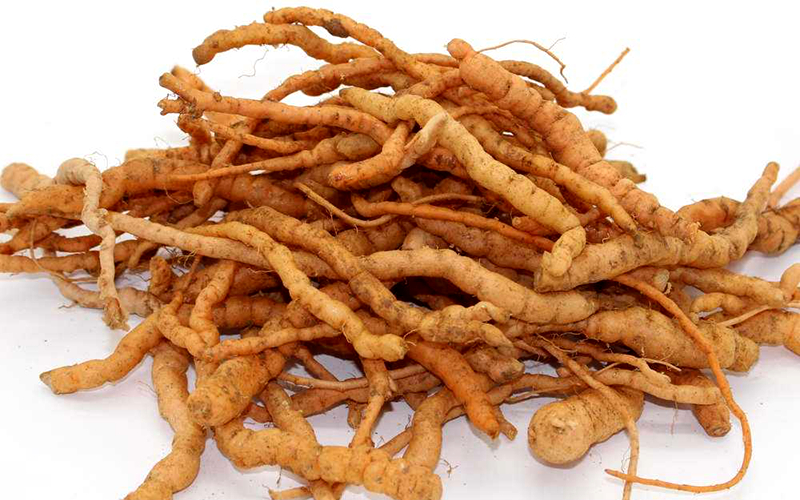 有关地黄丸的详细介绍,地黄丸的来历