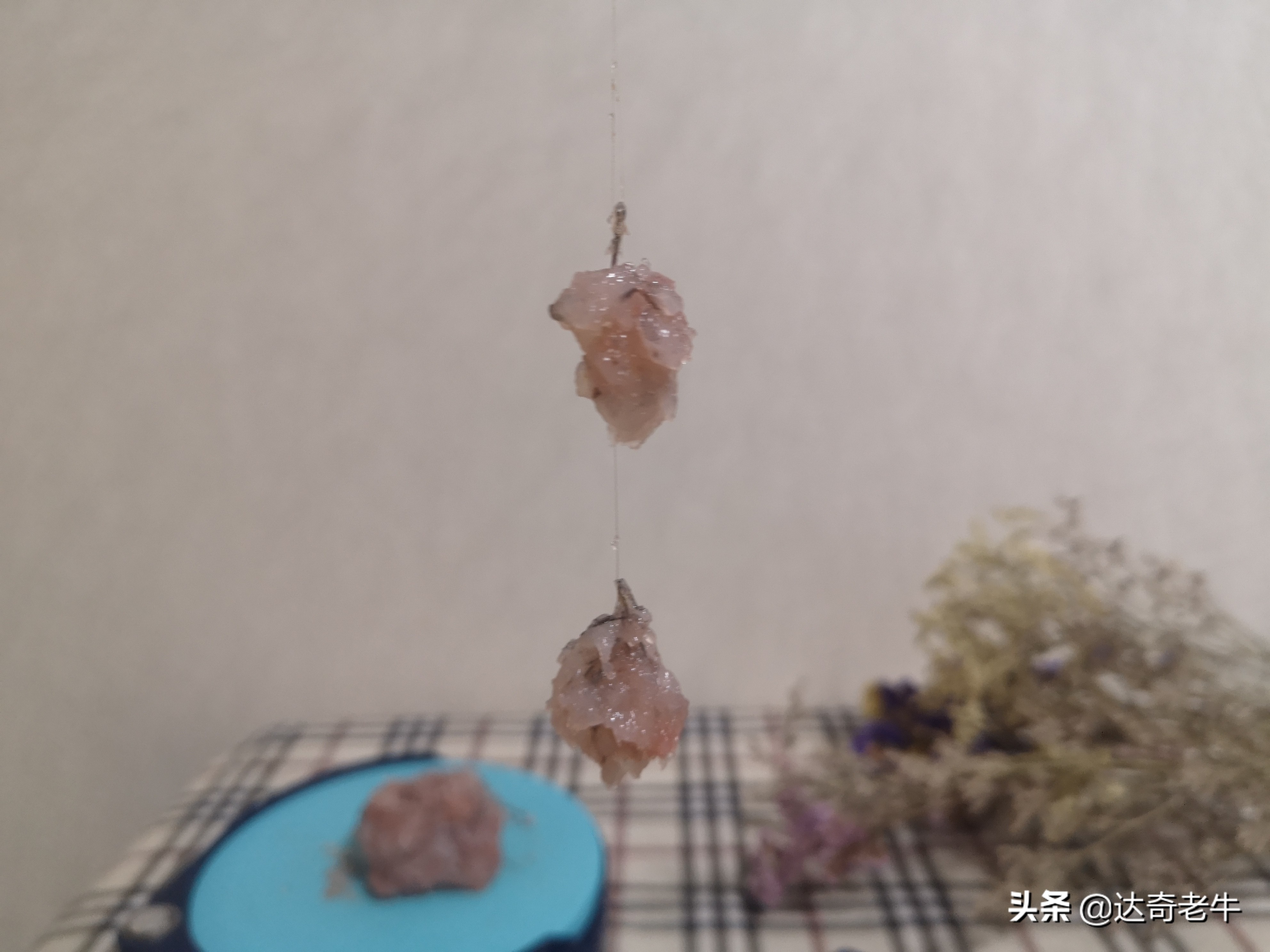 虾滑拉饵开饵方法,虾拉饵钓鱼效果怎么样