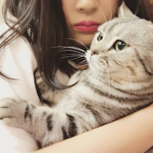 陈昱霖的奢侈品,陈昱霖同款珠宝包