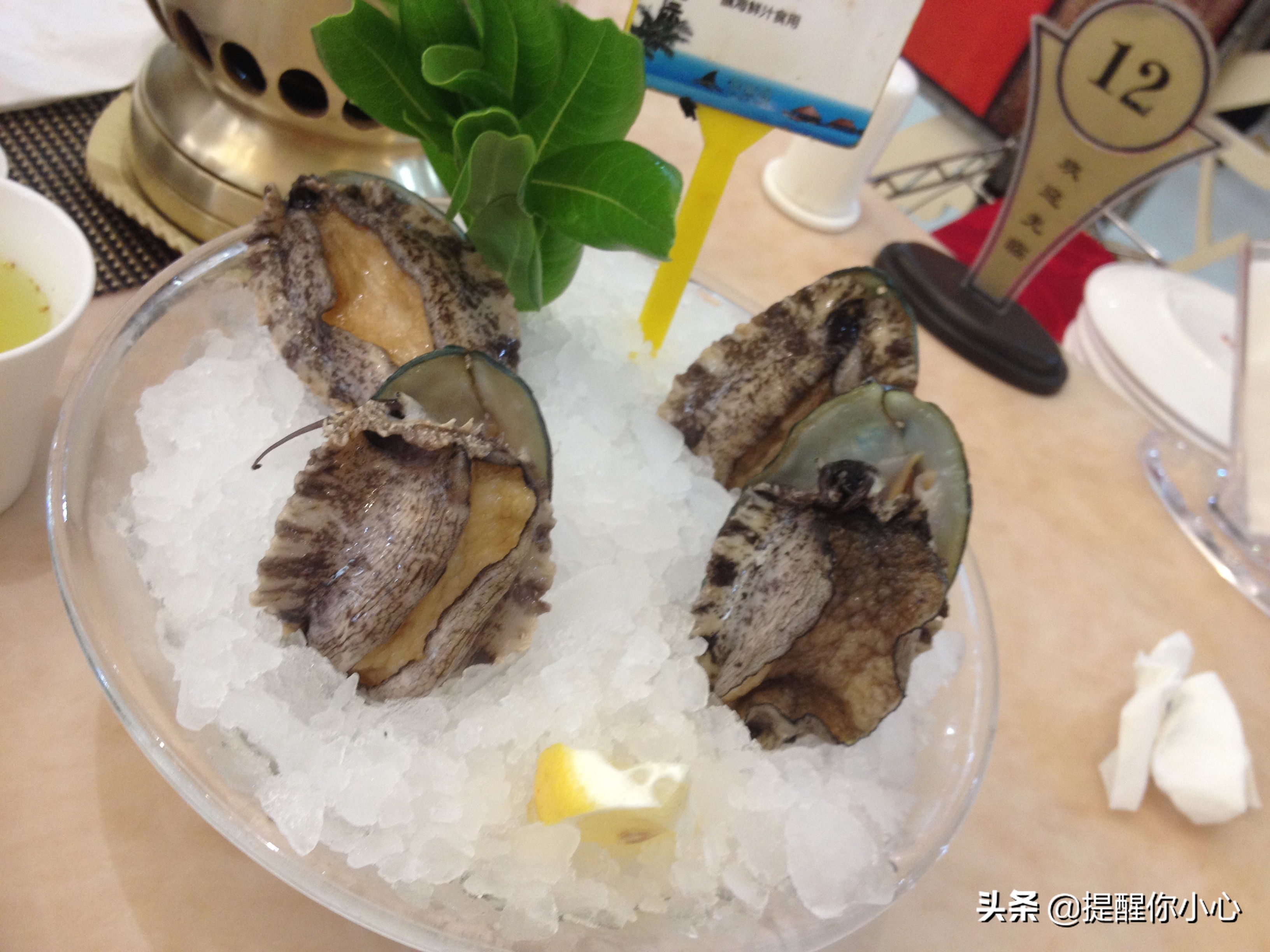 常州海鲨湾菜品,常州海鲨湾海鲜会所