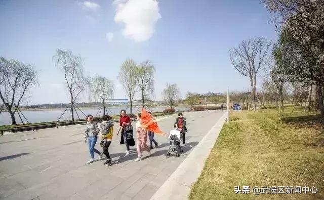 秋分是秋高气爽稻花飘香的季节,秋分秋实丹桂飘香