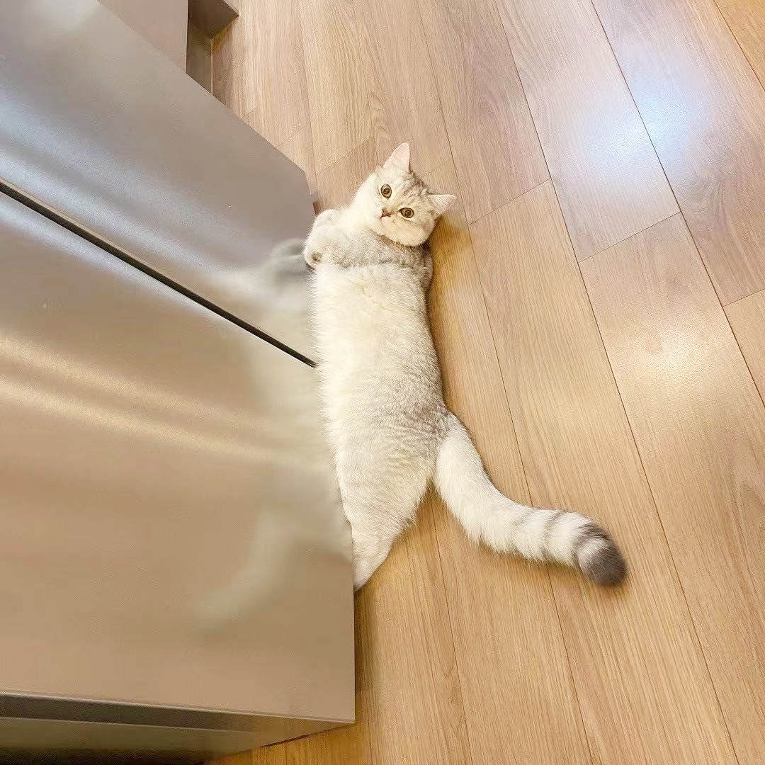 过年回家带点什么礼物实在,过年回家应该带点什么好吃的东西