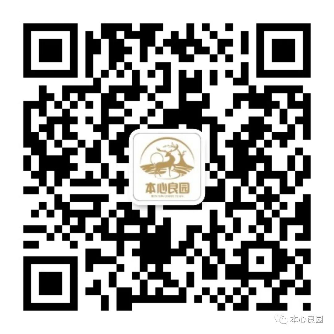 神州沃良发布会,热烈庆祝产品顺利上线