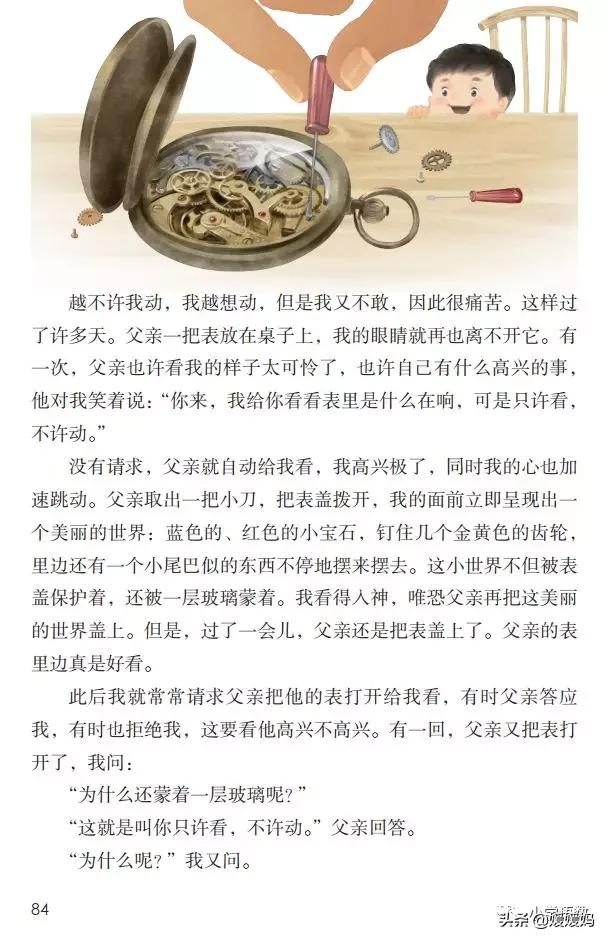 六年级下册语文表里的生物朗诵,六年级下册表里的生物小练笔400字