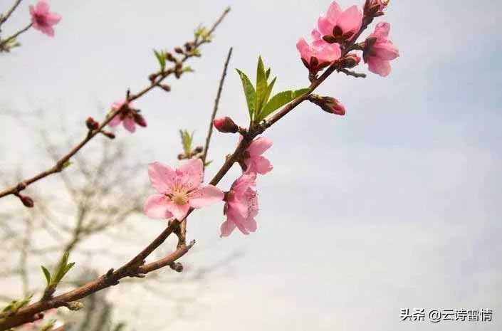 写对联的故事,李白对联故事