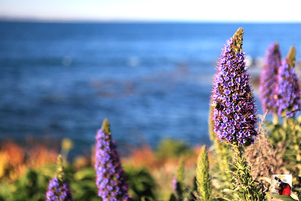 新西兰有哪些景观,新西兰风景最好的地方在哪里