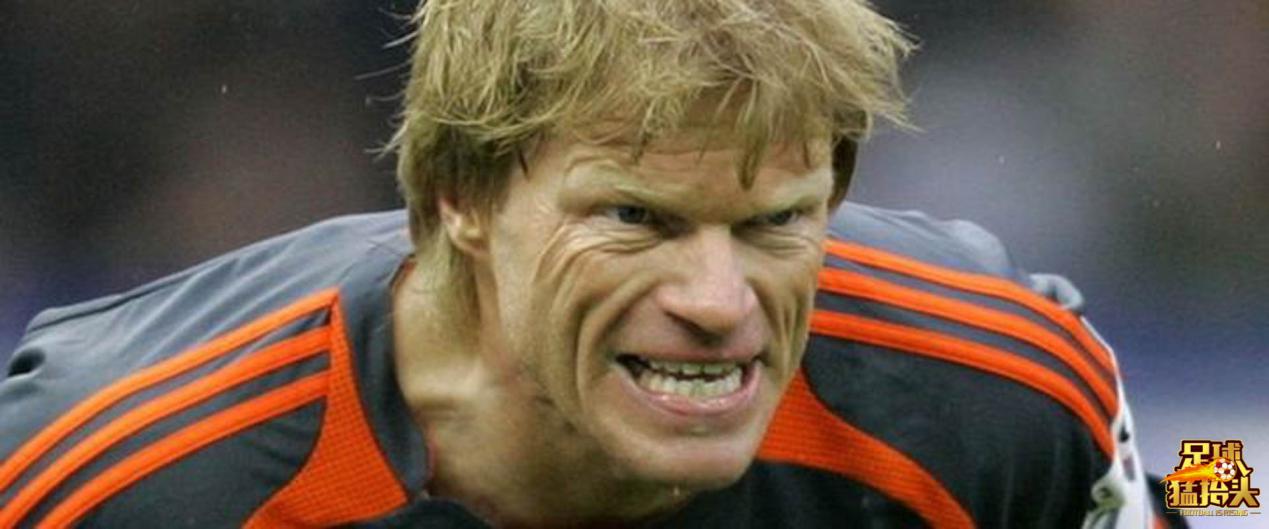 坚韧不拔顽强不屈的狮王,坚韧不拔永不放弃的狮王