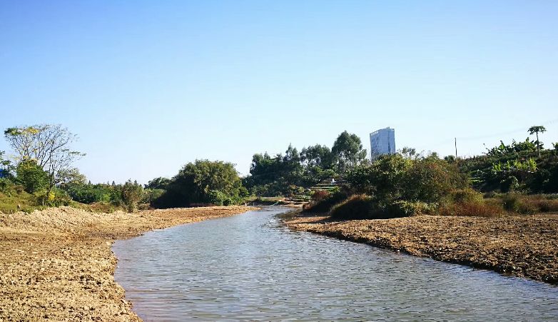 让鼎湖的大河小湖美起来!今年河长制工作这样推进……