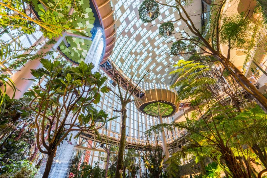 开业两日客流量突破57万,重庆光环如何征服消费者