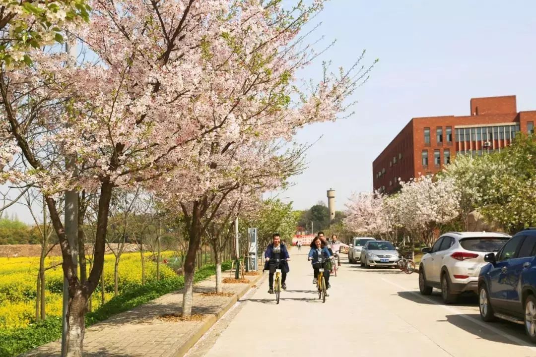 武汉值得推荐的学校,城院校园