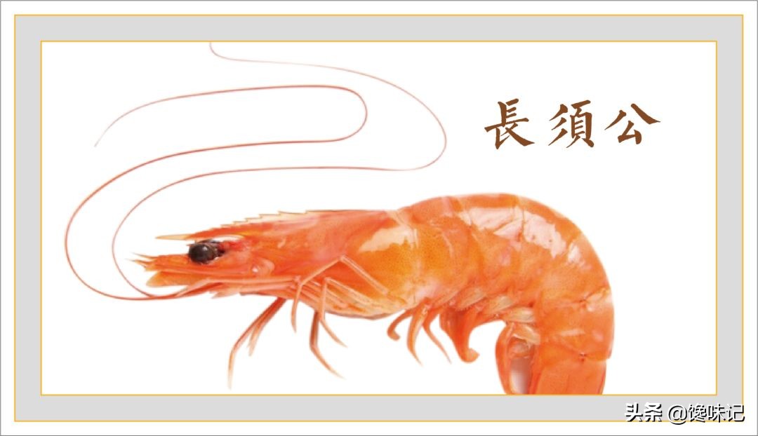虾：湛江人的认亲标志