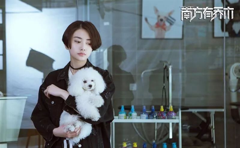 三生三世枕上书所有演员,三生三世枕上书演员名单