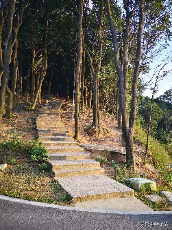 深圳大羊台风景,深圳阳台山看日落