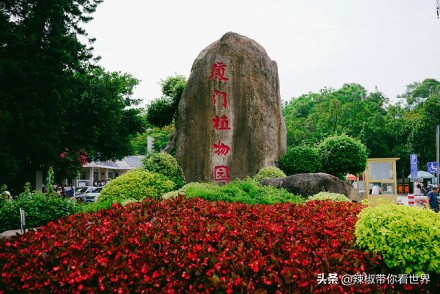 闽南厦漳泉旅游,厦漳泉三地旅游攻略