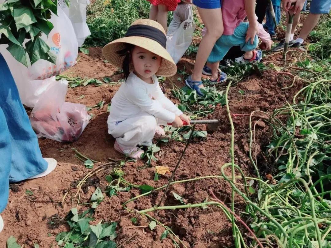 南京网红打卡景点不老村,打卡南京不老村