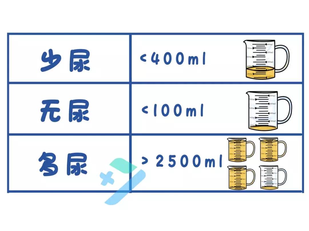 快撒泡尿,看看你的身体到底好不好