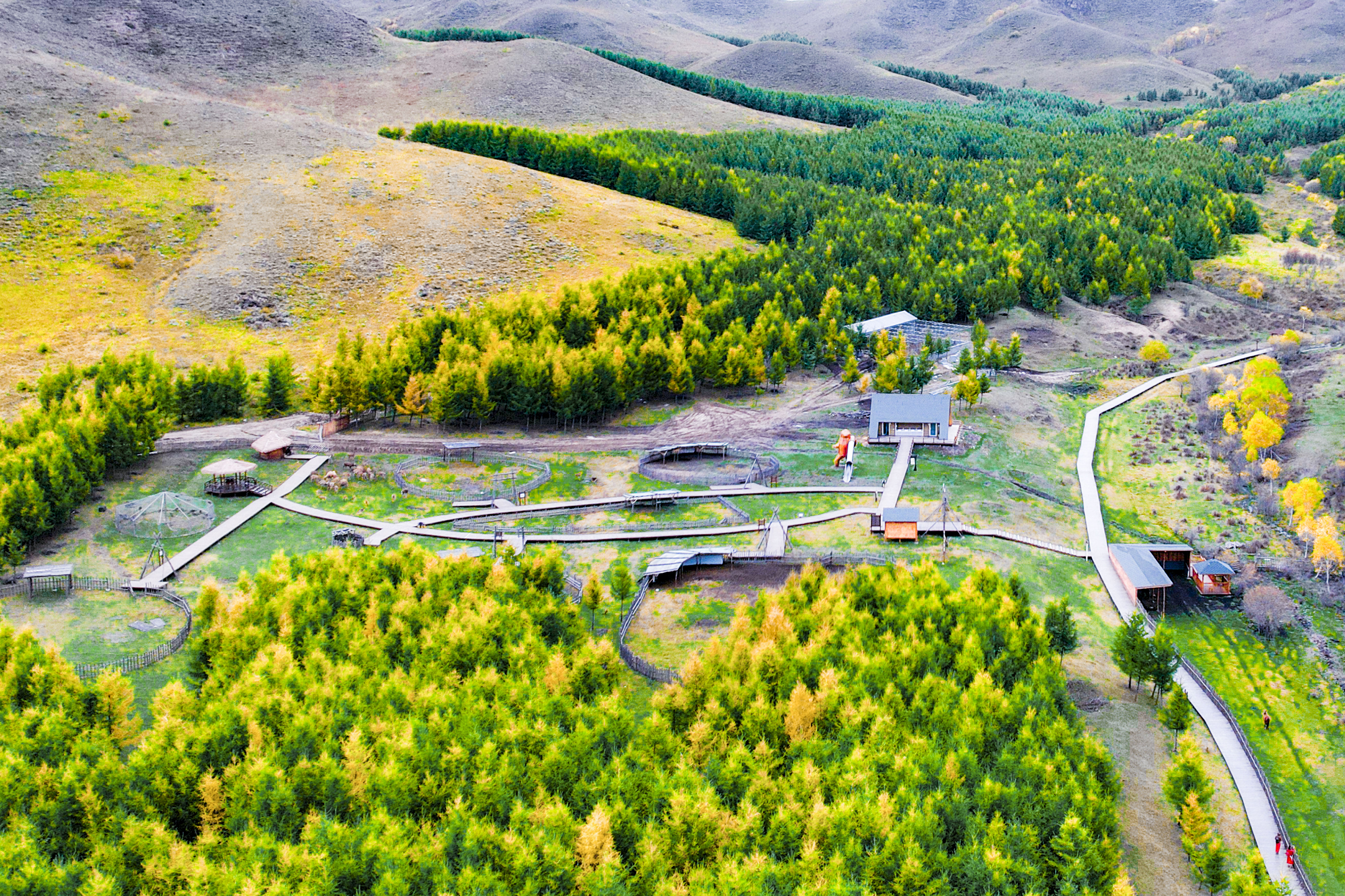 丰宁神仙谷七彩森林景区地图,丰宁坝上七彩森林游玩攻略