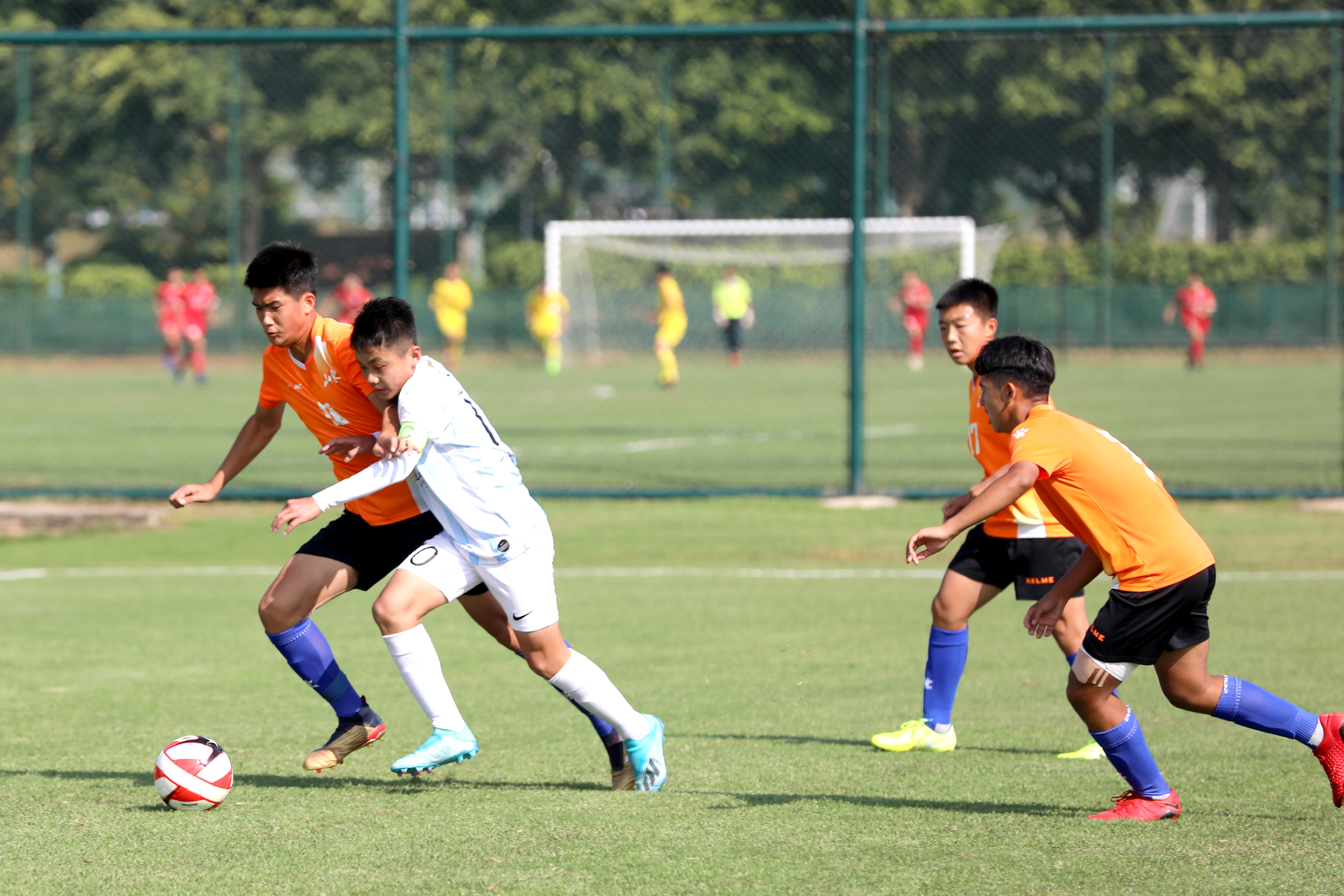 山东鲁能u12vs广州恒大u12,山东vs湖北u14