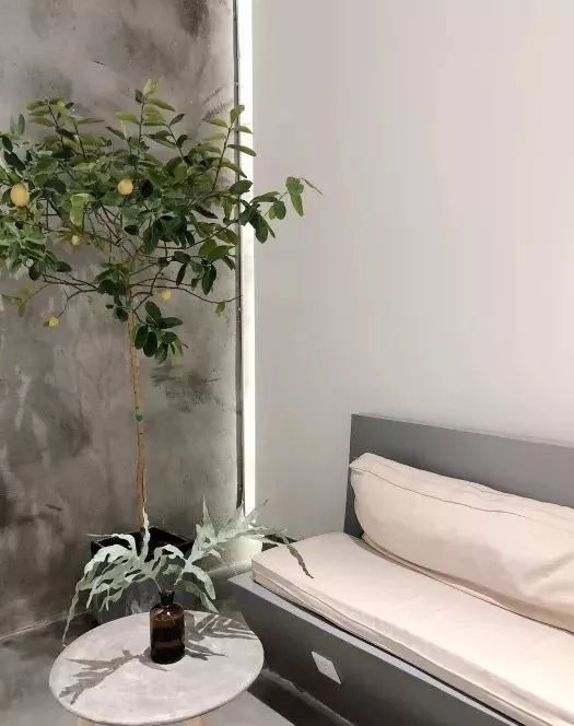 深圳有几家出名花店,深圳比较好的花店推荐