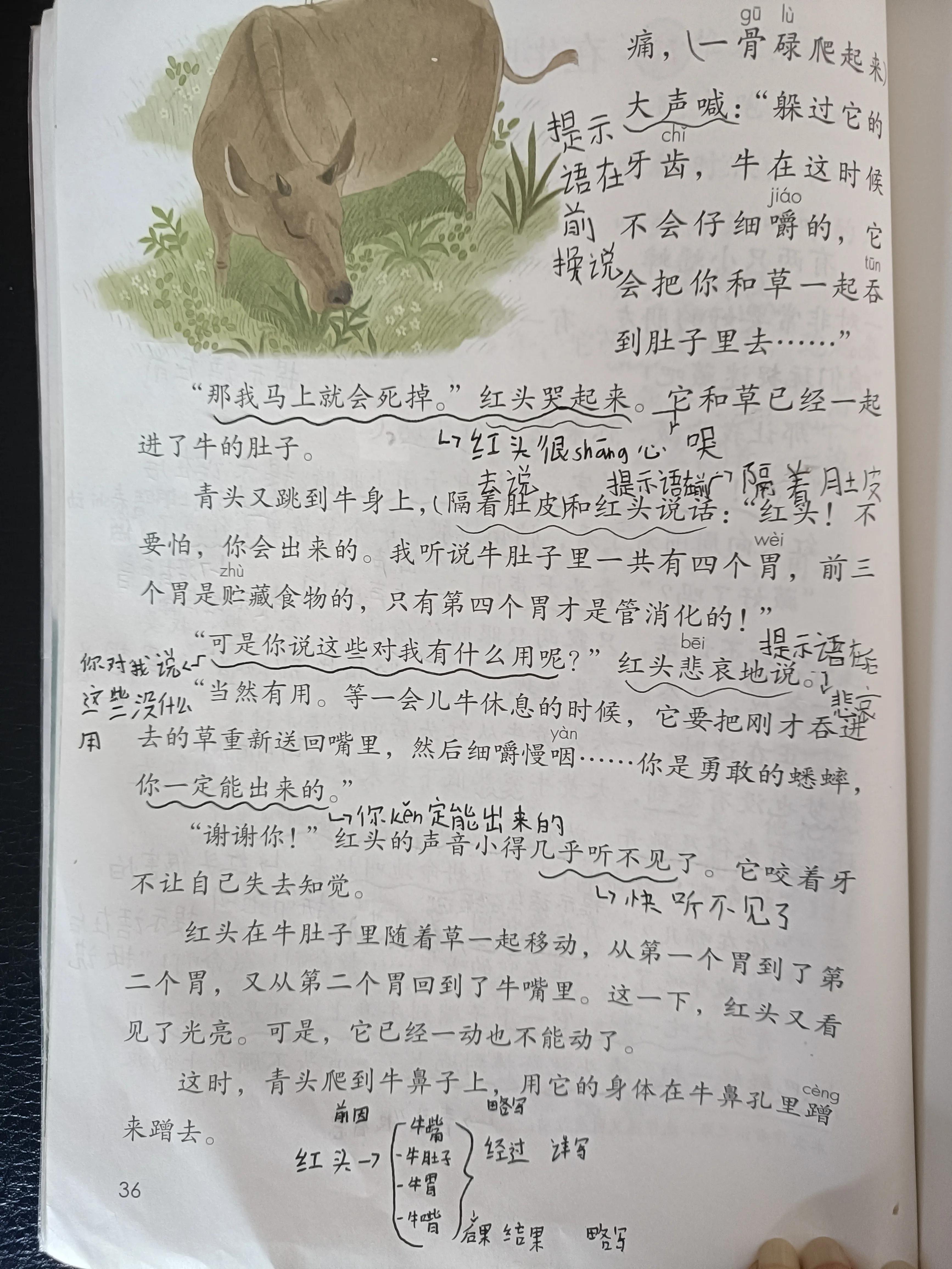 在牛肚子里旅行的提示语有哪些,提示语在中有什么作用