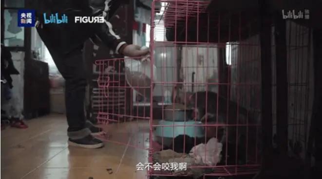 签生死协议书,签下生死合约