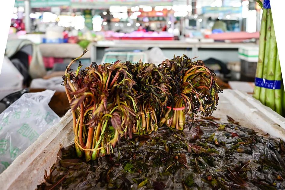 逛逛早市感受一下人间烟火的味道,最值得逛的早市