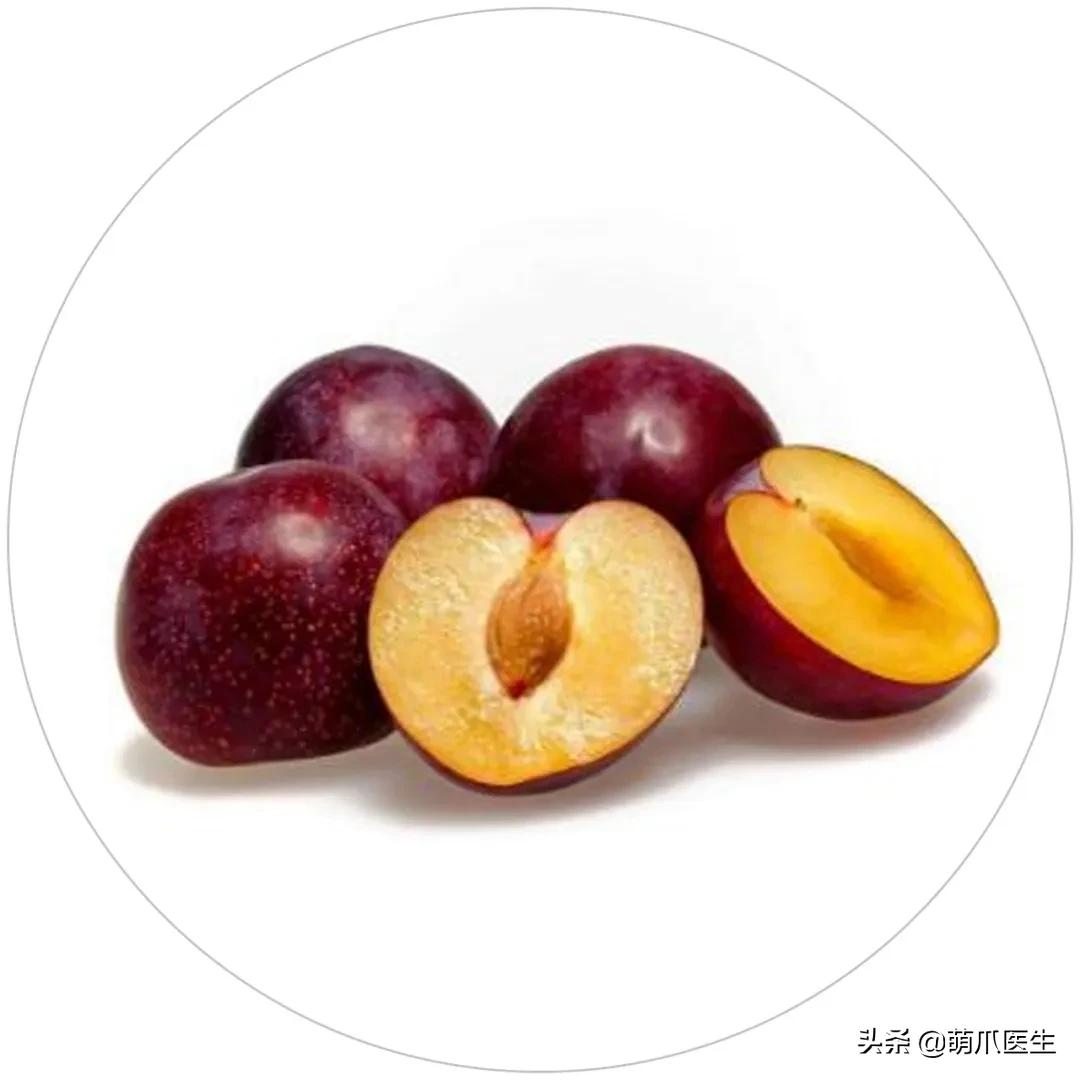 家有萌猫，千万别养这些花草！！