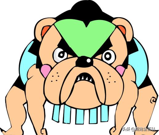 铲屎官必知的6个狗狗喂养好习惯,这几种犬不能在城里养