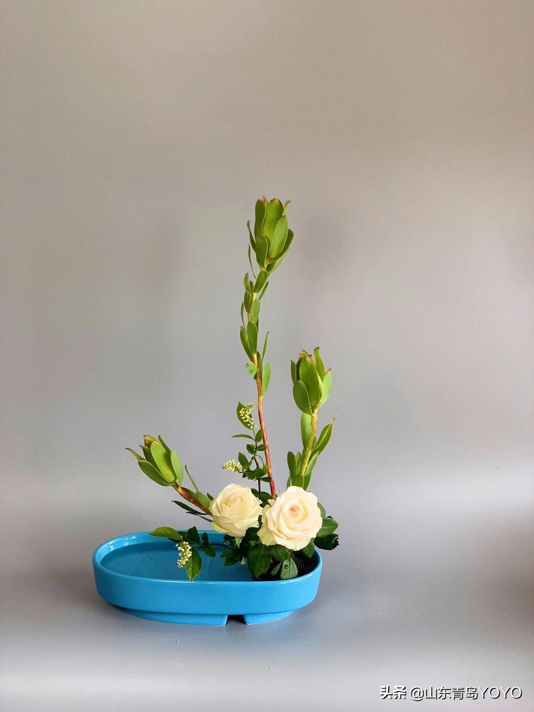 小原流插花入门,花意匠插花视频