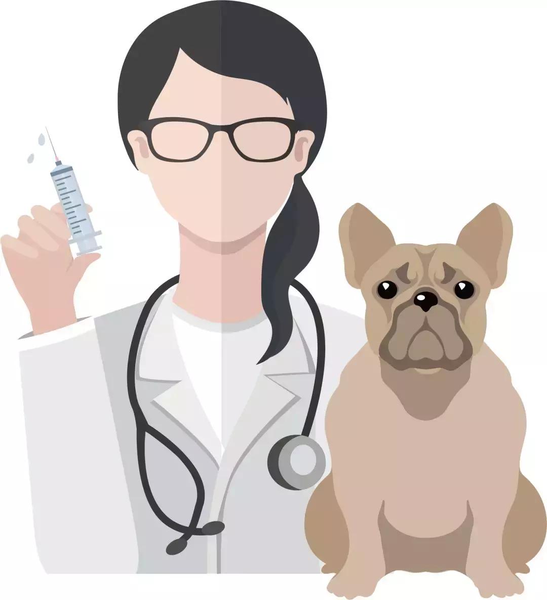 100%的致死率狂犬病到底有多可怕,如何消除狂犬病恐惧不安的心理