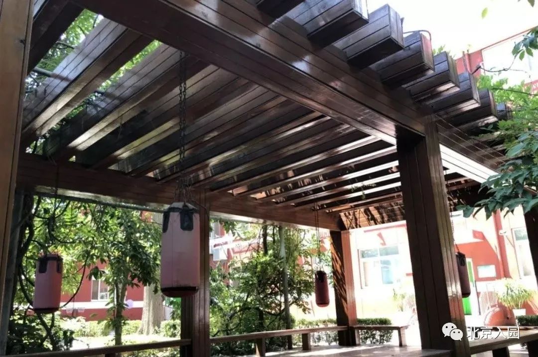 不满3岁也能报名！北京10所热门托班盘点！这两区最多