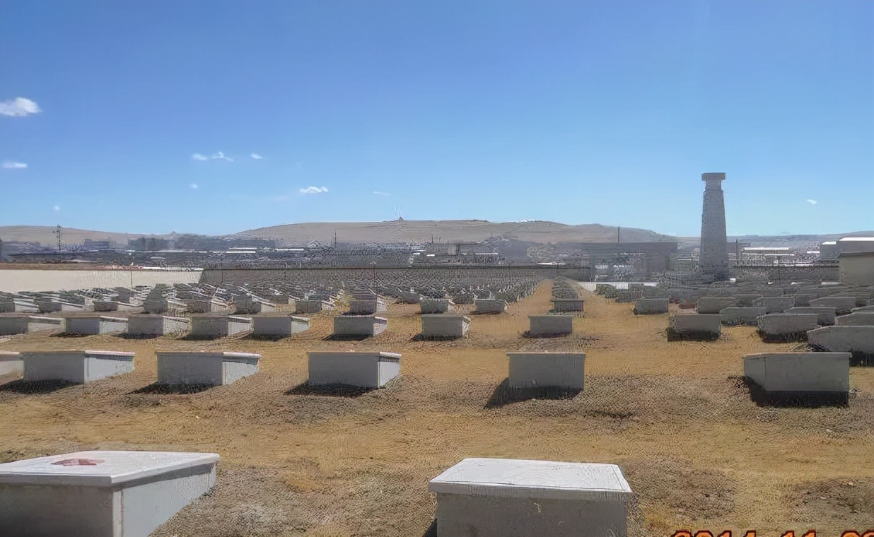 今天是烈士纪念日读后感作文,志愿军烈士祖国不会忘记