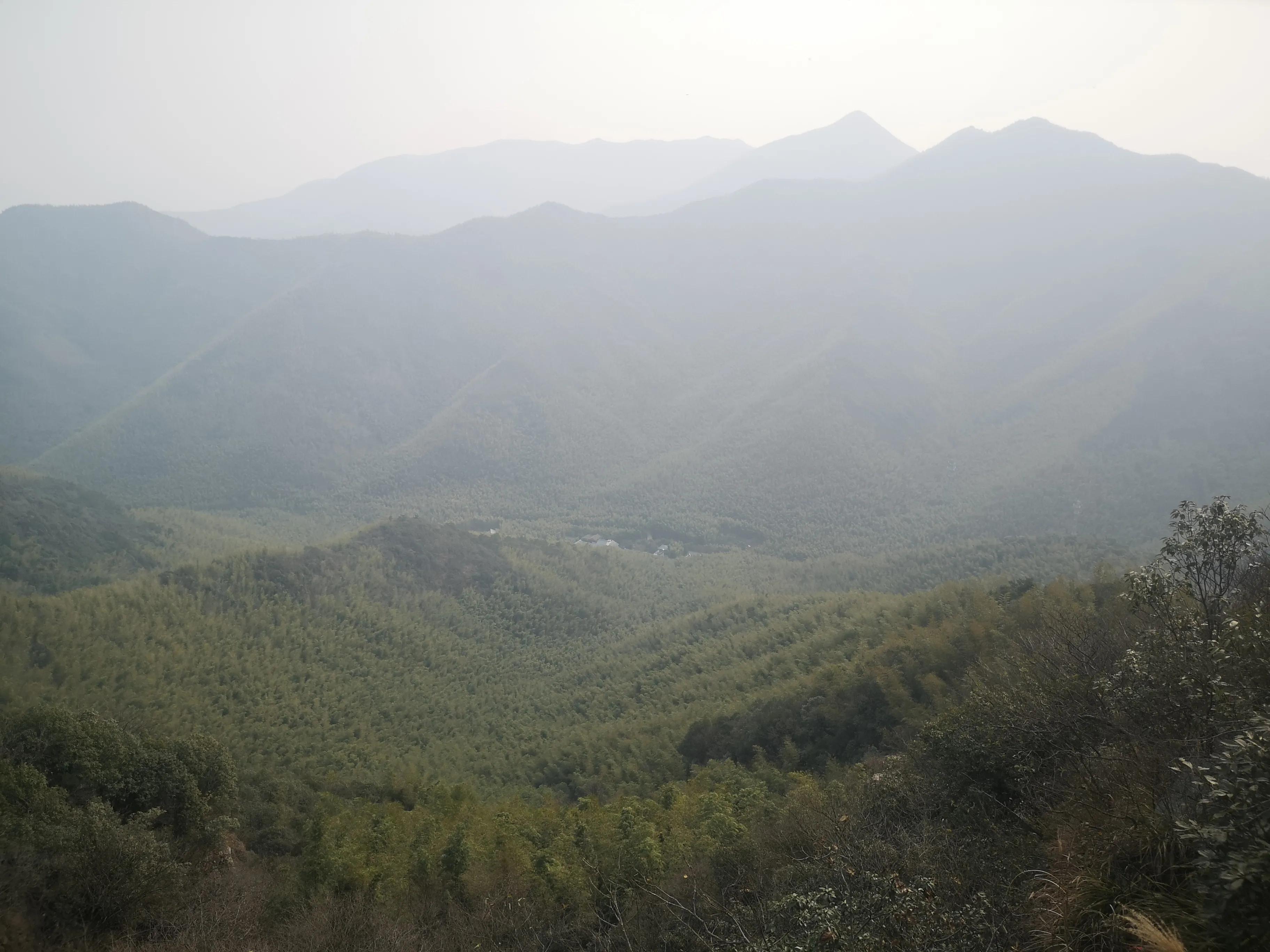 溧阳南山竹海小鸟天堂,宜兴南山竹海和溧阳南山竹海