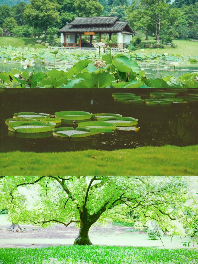 杭州最美景点拍照攻略视频,杭州十大景点美图