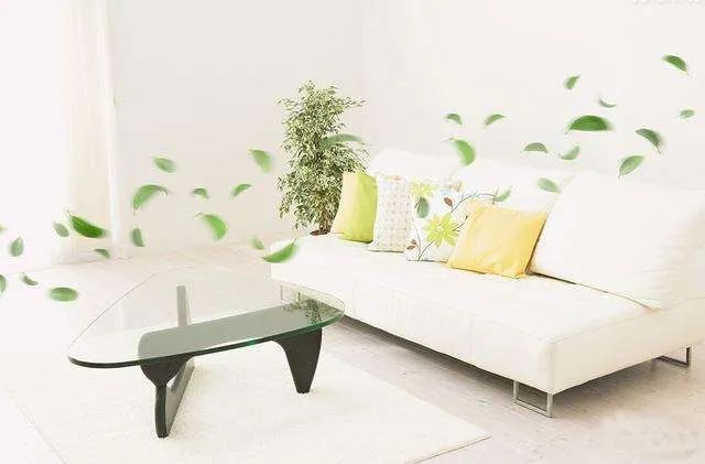 什么样的空气净化剂比较好,空气净化剂成分分析流程