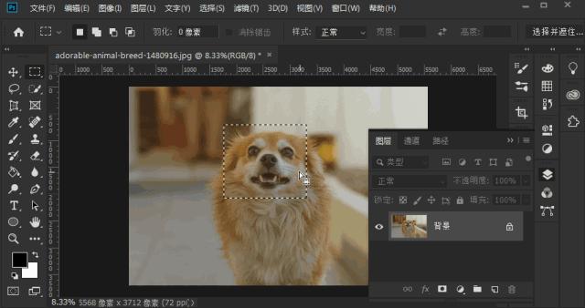 photoshop快捷键大全,photoshop设置快捷键大全
