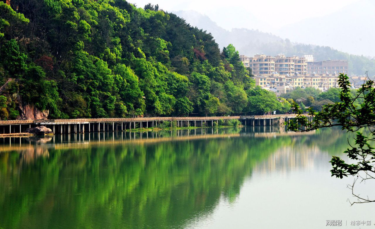 仙琚制药历史交易数据,仙琚制药大跌