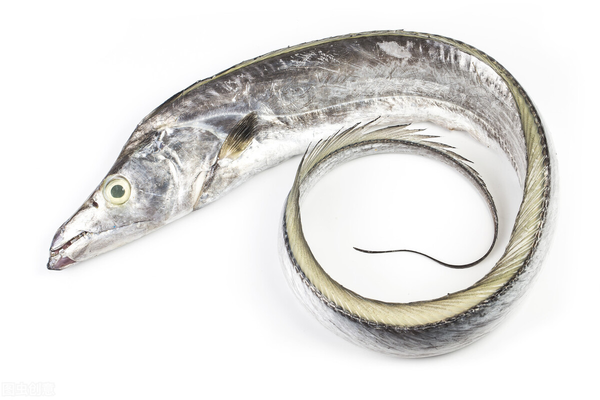 经常吃到的活海鱼品种,经常买的海鱼有哪些品种