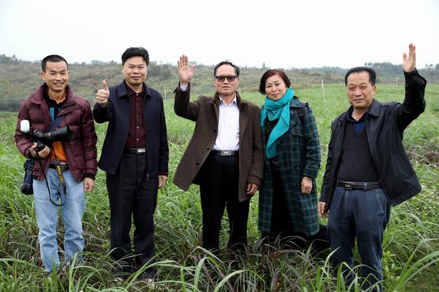 文蕴秀岭,馨怡乐园|廉江文秀岭农牧场散记