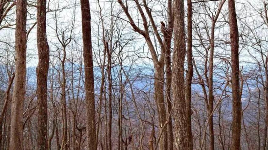 酸碱中和反应在生活中的妙用,酸碱中和反应在生活中的应用实例