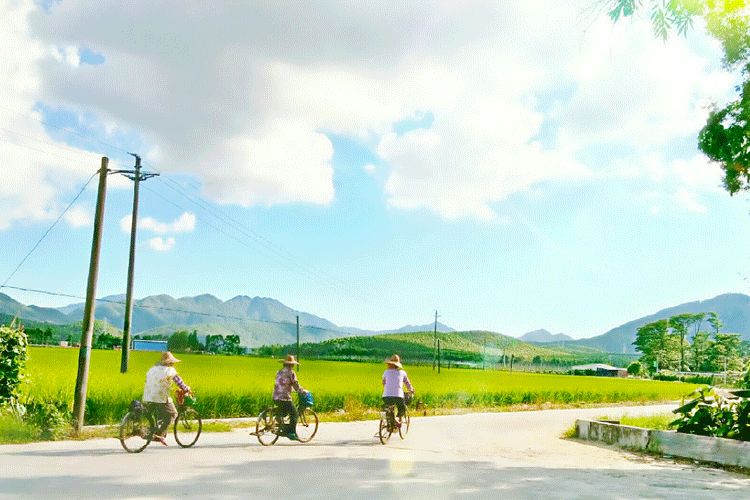 大暑的五种美,小暑的七种食物